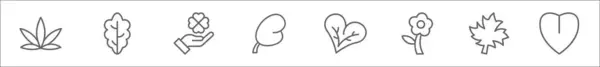 Контурний Набір Піктограм Лінії Листя Лінійні Векторні Іконки Такі Лист — стоковий вектор