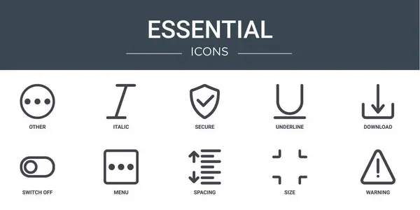 Conjunto Iconos Esenciales Web Esquema Como Otros Cursiva Seguro Subrayado — Archivo Imágenes Vectoriales