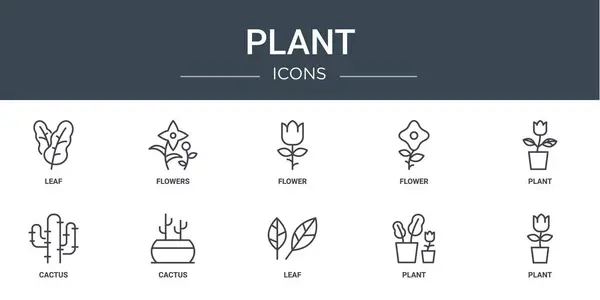 Készlet Vázlatos Web Növényi Ikonok Mint Levél Virágok Virág Virág — Stock Vector