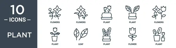 植物轮廓图标集包括细线花 供报告用的叶子图标 网页设计 — 图库矢量图片