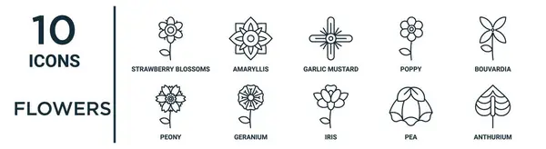 Квіти Контур Іконки Такі Тонка Лінія Полуничних Квітів Часникова Гірчиця — стоковий вектор