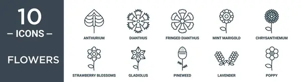 Flores Esquema Conjunto Iconos Incluye Línea Delgada Anthurium Dianthus Dianthus — Archivo Imágenes Vectoriales