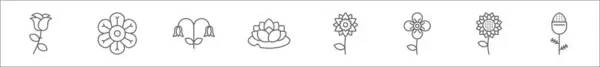 Набор Иконок Цветочных Линий Линейные Векторные Иконки Такие Роза Настурций — стоковый вектор