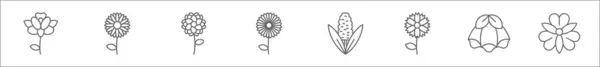 Набор Иконок Цветочных Линий Линейные Векторные Иконки Такие Радужная Оболочка — стоковый вектор