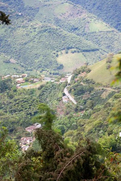 Çok uzak bir yol. Etrafı bitki örtüsüyle çevrili.