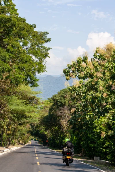 Ağaçlarla çevrili çok az trafik akışı olan engebeli bir yol.