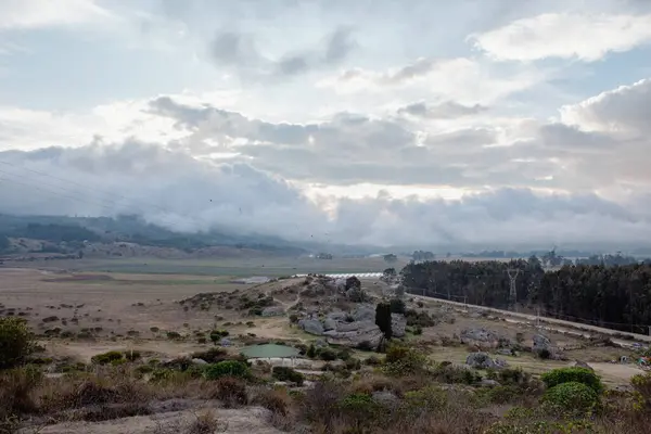 Bitkilerle dolu bir arazide güzel bir gün batımı