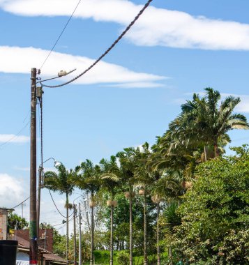 Barselona şehrinin manzarası