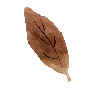 Gevşek ve şirin bir el yapımı suluboya çizimi. Kaba ve şık bir izlenim yaratmak için mükemmel. Vektör illüstrasyonu.