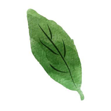 Gevşek ve şirin bir el yapımı suluboya çizimi. Kaba ve şık bir izlenim yaratmak için mükemmel. Vektör illüstrasyonu.