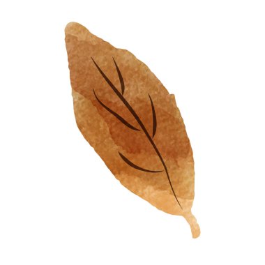 Gevşek ve şirin bir el yapımı suluboya çizimi. Kaba ve şık bir izlenim yaratmak için mükemmel. Vektör illüstrasyonu.