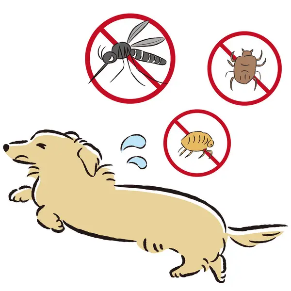 stock vector Hand-drawn illustration of a dog and pests. A rough and stylish impression. Vector illustration.