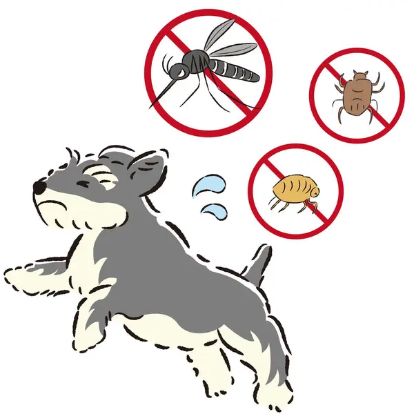 Bir köpek ve zararlı böceklerin el çizimi. Kaba ve şık bir izlenim. Vektör illüstrasyonu.