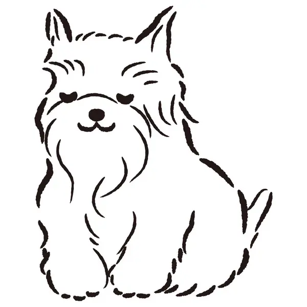 El çizimi, rahat ve sevimli bir köpek. Sert ve şık bir izlenim. Vektör illüstrasyonu.
