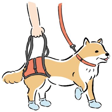 Gevşek ve sevimli bir köpek ve evcil hayvan malzemesinin el çizimi. Kaba ve şık bir izlenim. Vektör illüstrasyonu.