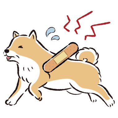 Bir köpeğin yaralanmasının elle çizilmiş, gevşek ve şirin bir örneği. Kaba ve şık bir izlenim. Vektör illüstrasyonu.