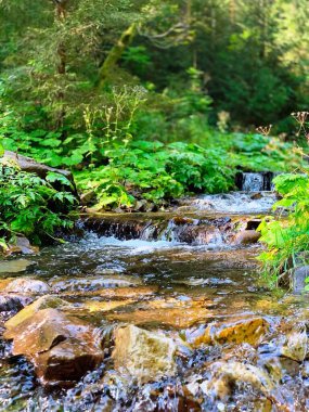 Küçük bir dağ nehri dağların arasından akar taşların üzerinden büyülü Karpatlar doğasında