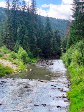 Karpat dağlarındaki bir nehir, ormanın ortasındaki bir nehirdir.