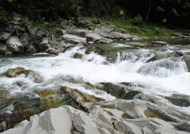                Karpat Dağları 'ndaki Fırtınalı Dağ Nehri               
