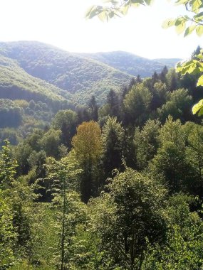Karpatlar 'ın güzel bir manzarası