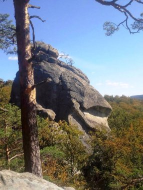 Ormanın ortasındaki dağlarda kayaları görebilirsin.