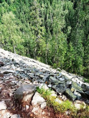 Kayalık yamaçların ve yeşil Karpatların manzarası