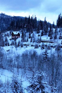 Karpat Dağları 'ndaki kışlık ev.