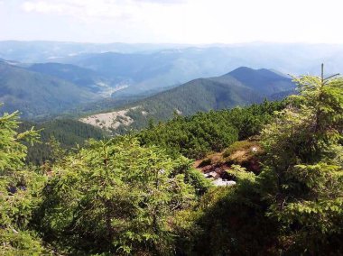 Karpat Dağları 'nın Manzarası