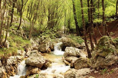 Dağlarda bir nehir akıyor.