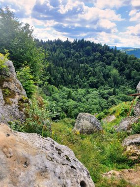  Karpatlar 'daki Tustan kalesinin kalıntıları.