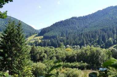 Karpatların muhteşem dağları