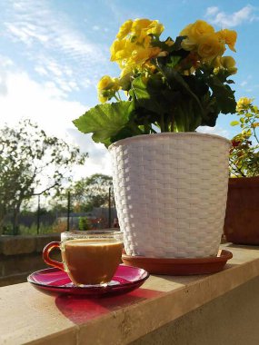 Sarı çiçeklerin yanında kahveli çömlek.