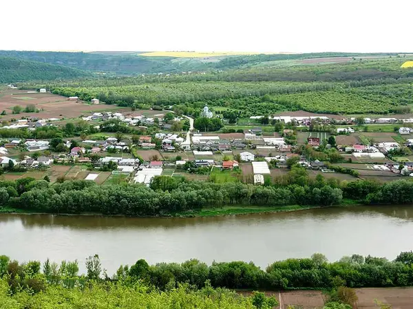 Yeşil tepeler arasında akan bir nehirle güzel bir yaz manzarası..