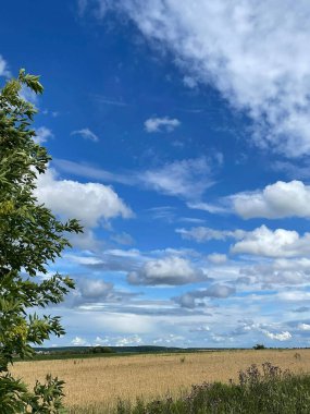 Yazın tarlada sirk bulutları