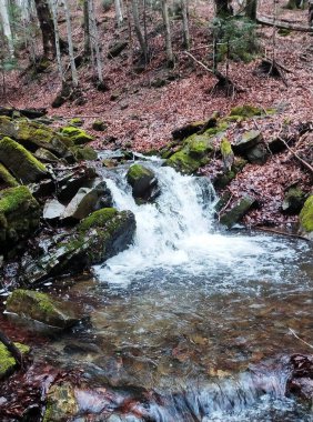 Dağlardaki sudan bir şelale akıyor.