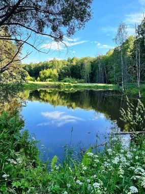 Kıyıya yakın yeşil göl