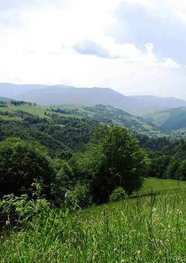 Yazın Karpat Dağları manzarası