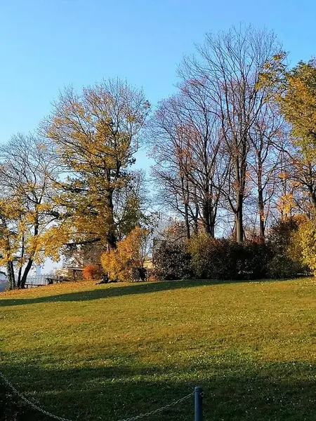 Parkta sarı ağaçlarla sonbahara yaklaşıyoruz.