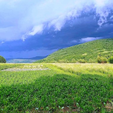 Bulutların altındaki yeşil alanın resmi