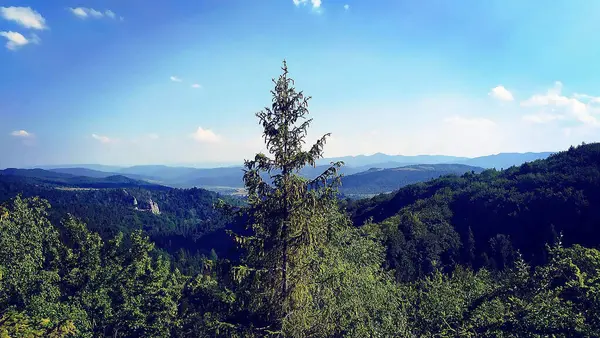 Karpatlar 'daki Tusnan Kalesi' nin dağdaki görüntüsü.