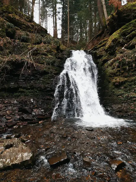 Karpat dağlarındaki Sopit şelalesinin manzarası