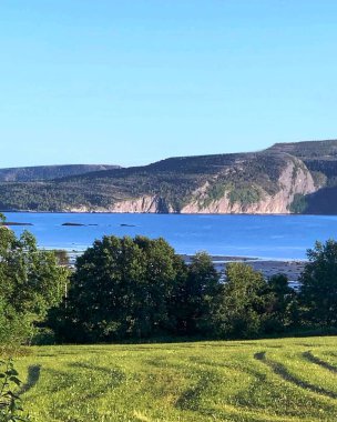 Bir gölün ve dağların arkasında yeşil ağaçlar ve çimenler