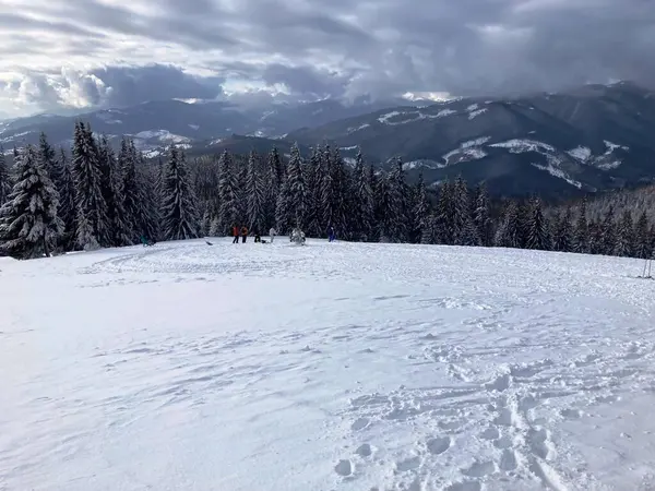 Bir çayırda ve dağlarda uzanan beyaz kar manzarası