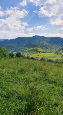 Yeşil çayırlar Karpat dağlarının arka planında görülebilir.