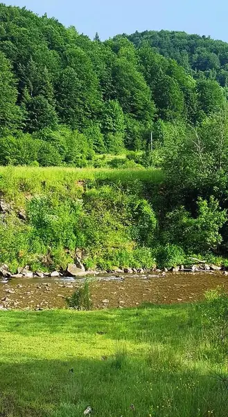 Nehrin mahzene akan fotoğrafı ve yeşil bankanın yakınındaki taşlar.