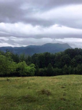 Karpat Dağları 'nın manzarası yazın çekildi.