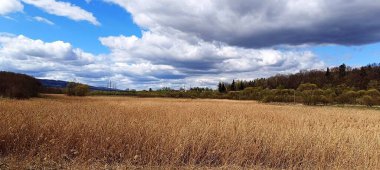 Şiddetli bulutların altında fotoğraf sonbahar tarlası