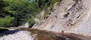 Kayalık bir kıyıdan akan bir nehrin görüntüsü