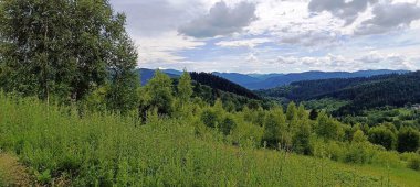 Yazın Karpat dağlarının yeşil tepeleri görülebilir.