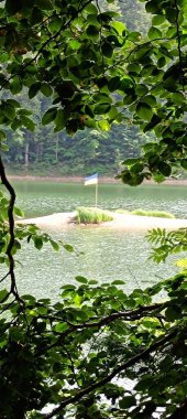 Gölün ortasında yeşil çimen ve Ukrayna bayrağı olan bir ada resmi